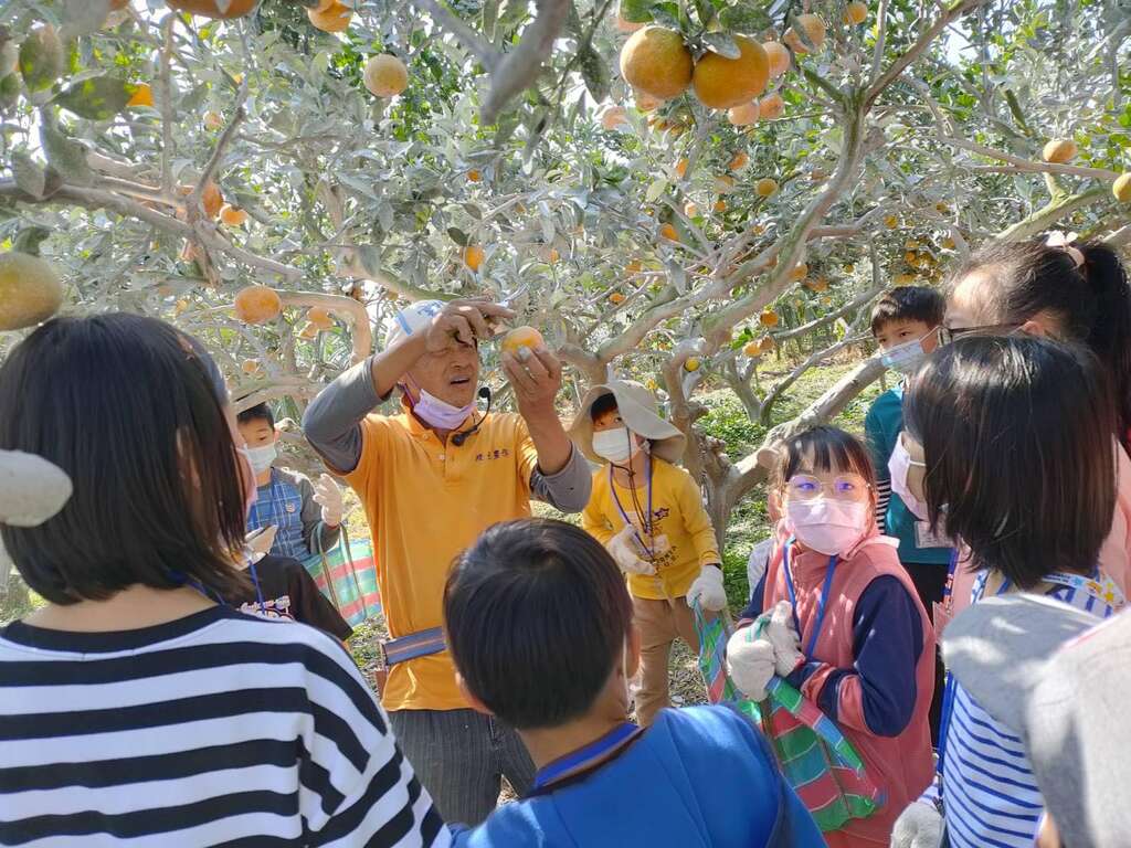 橙色農作休閒果園03