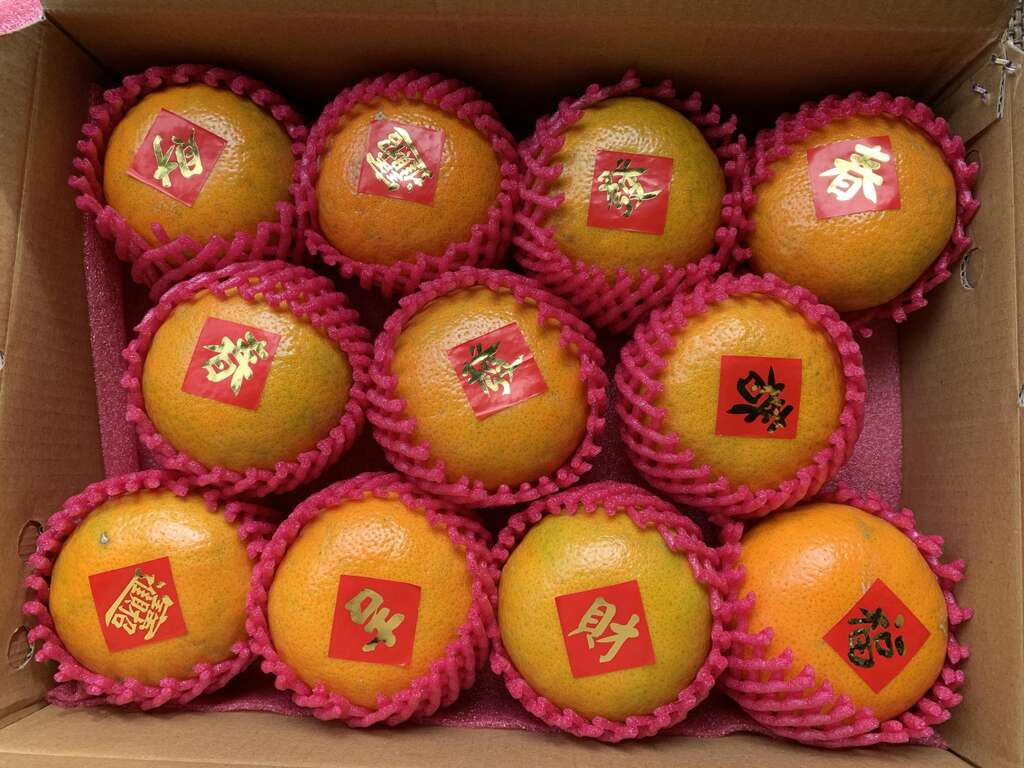 橙色農作休閒果園05