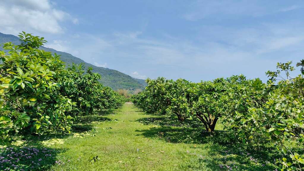 木日光 站前店03