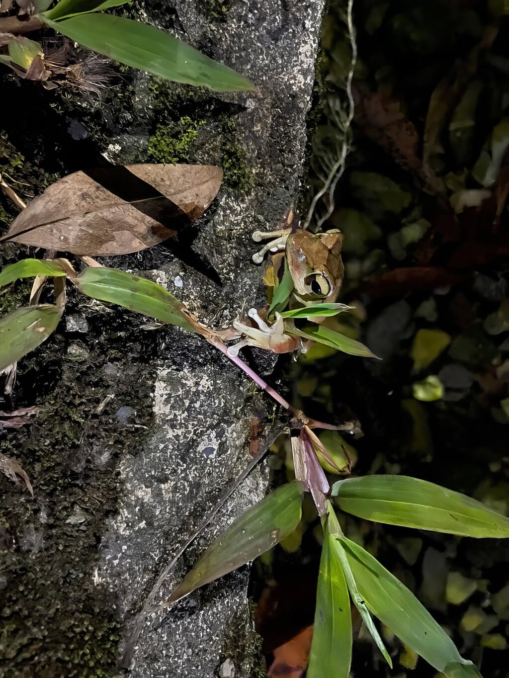 園區生態環境多樣性