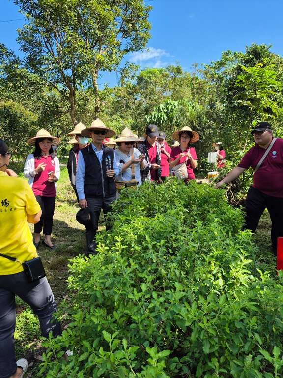 範樟園農場-導覽