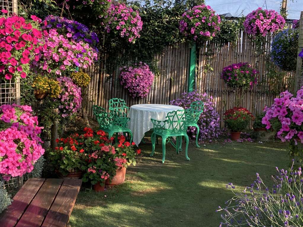 充滿花卉的庭園