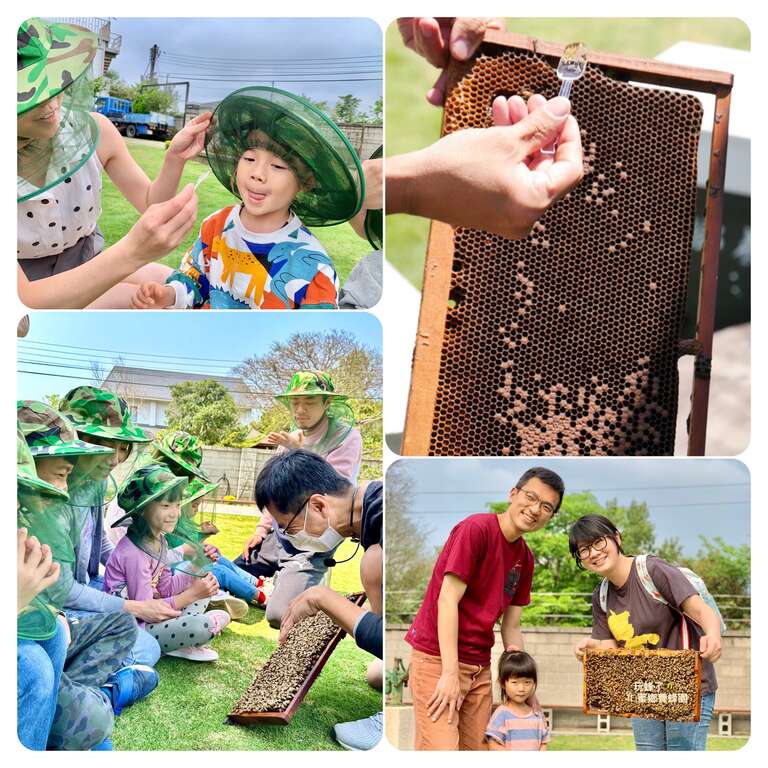 親子親近蜂巢認識蜜蜂世界