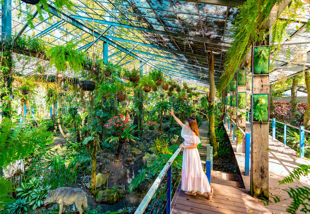 台一楓樺卉館02