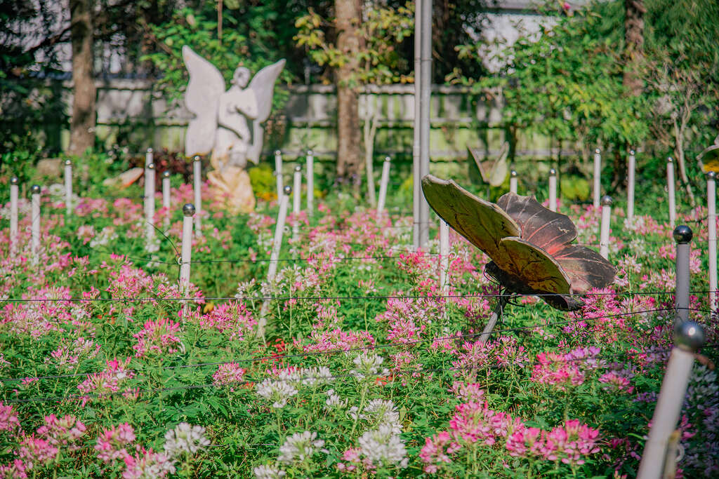 台一楓樺卉館04