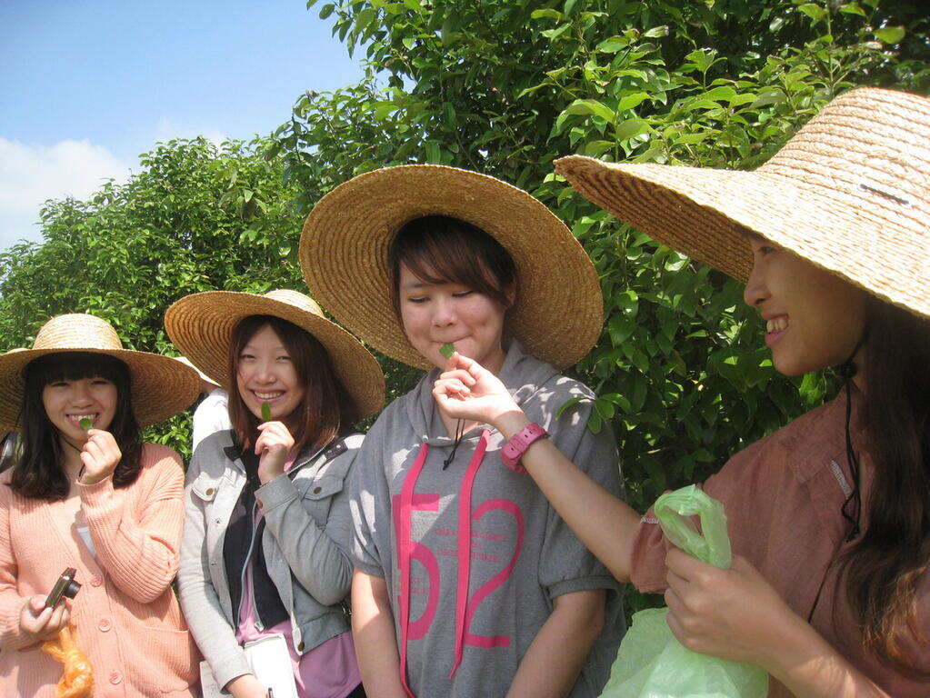 1024x768_20200417-07