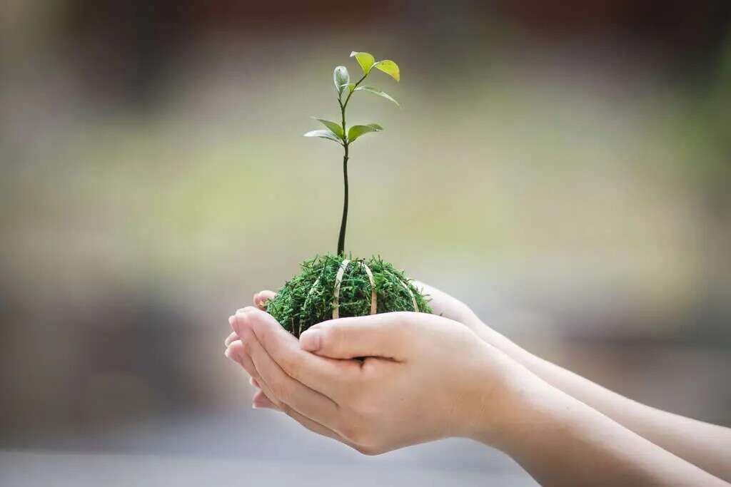 1024x768_agrispots-image-hlsqu360euwcdupx7ct9bq