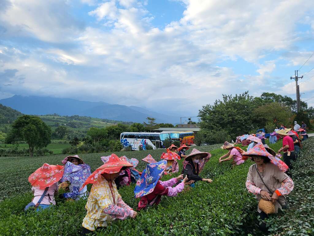 1024x768_agrispots-image-uylyebvbokwtoxzdfkf21a