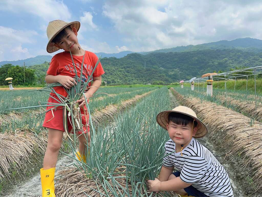 宜蘭農夫青蔥體驗農場3