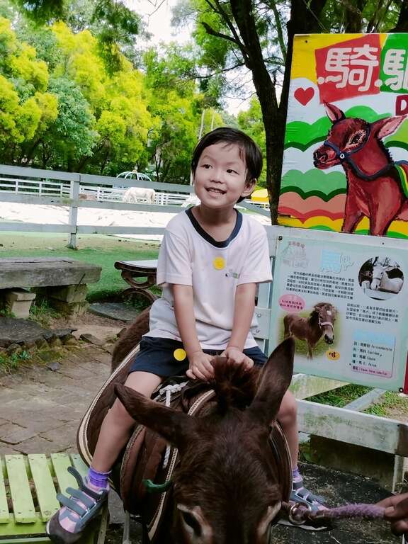 小朋友開心騎驢