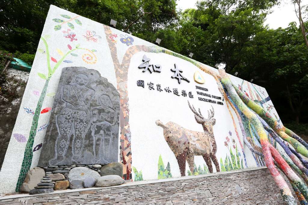 知本國家森林遊樂區能讓遊客享受熱帶的森林浴