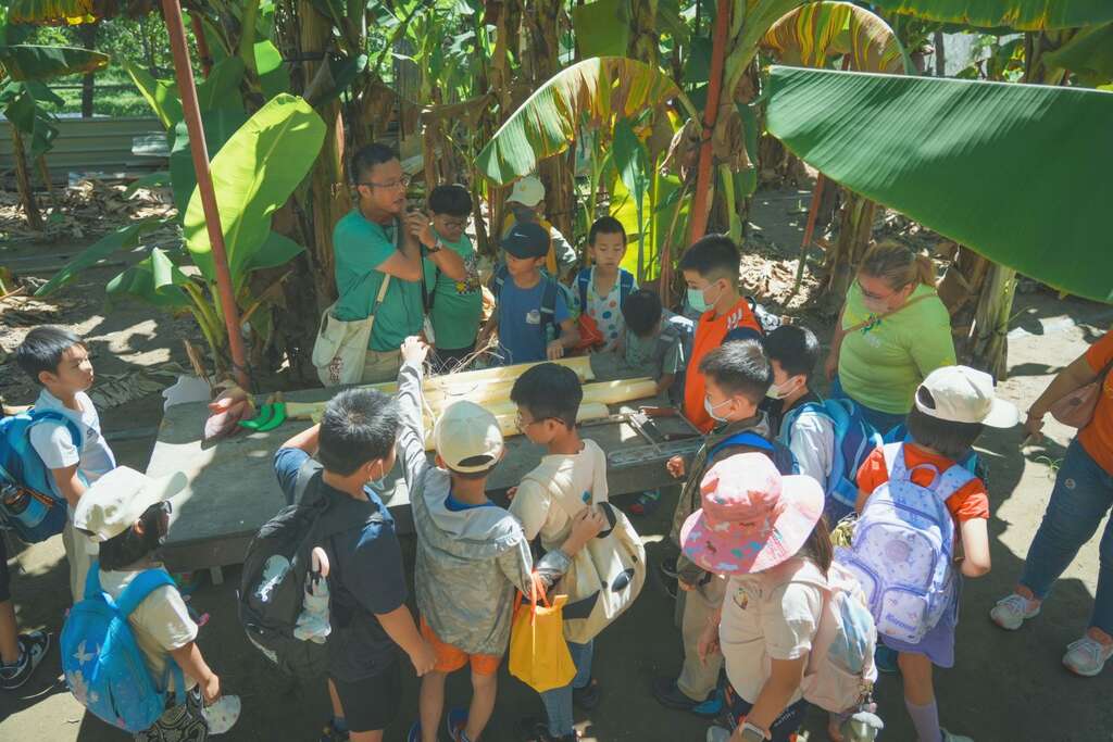金旗山城透過多種體驗活動讓遊客深入了解旗山的香蕉文化（金旗山城提供）