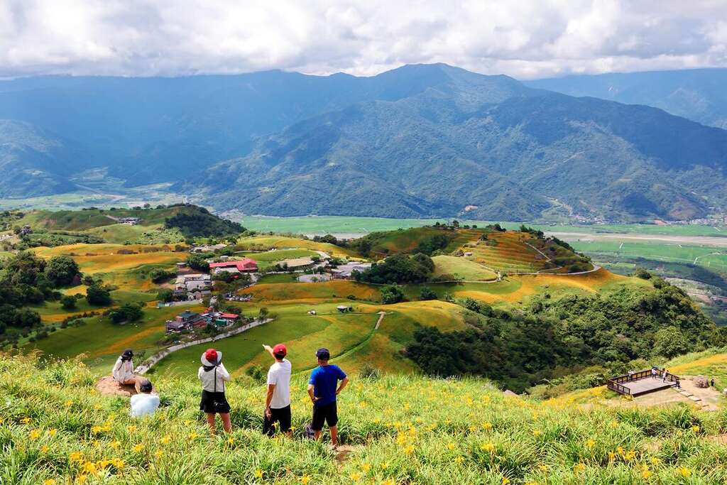 滿山遍野的金針花黃澄澄美景實在太美麗