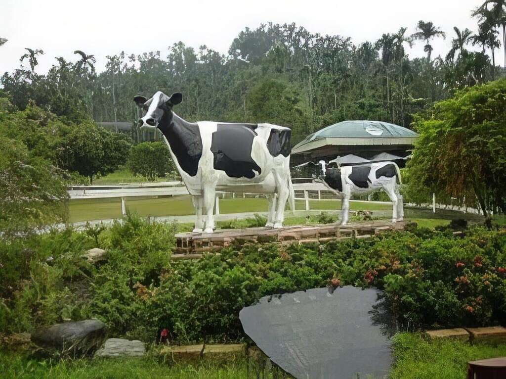 綠盈牧場為嘉義地區的重要牧場之一，飼養乳牛多年