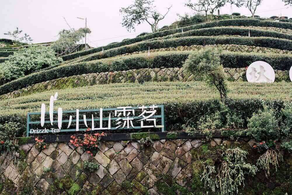 小山霂茗