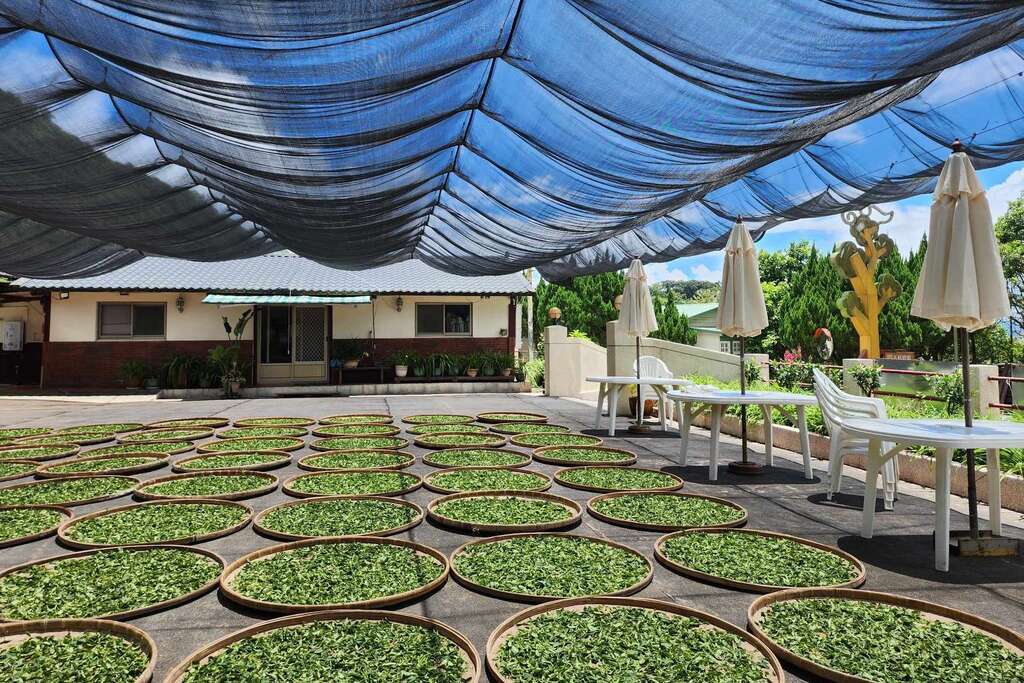 位於花蓮赤科山上的露予莊園（露予莊園提供）