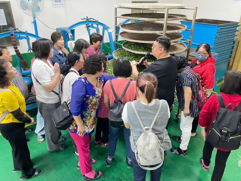 三峽天芳茶行積極推廣食農教育（三峽天芳茶行提供）