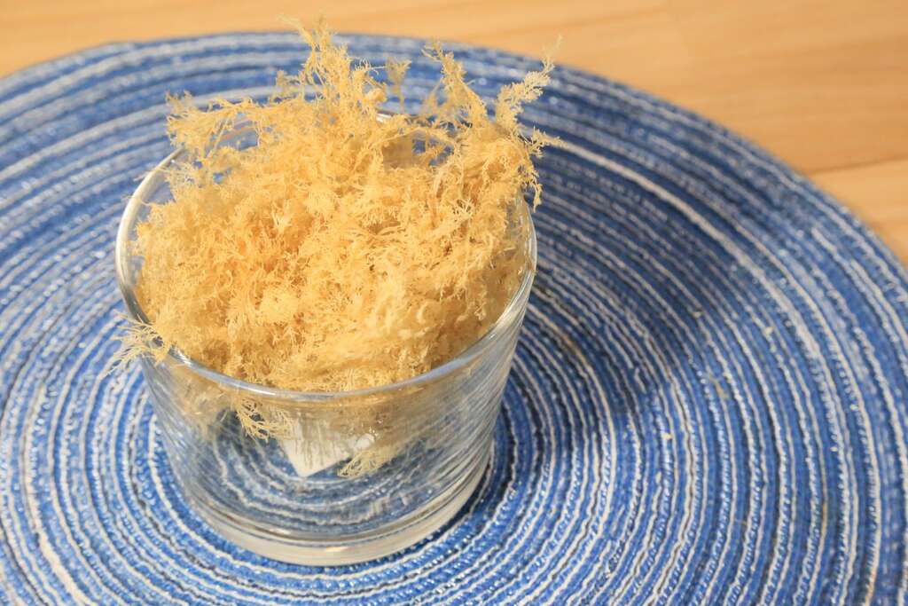 曬乾後的石花菜會成為金黃色