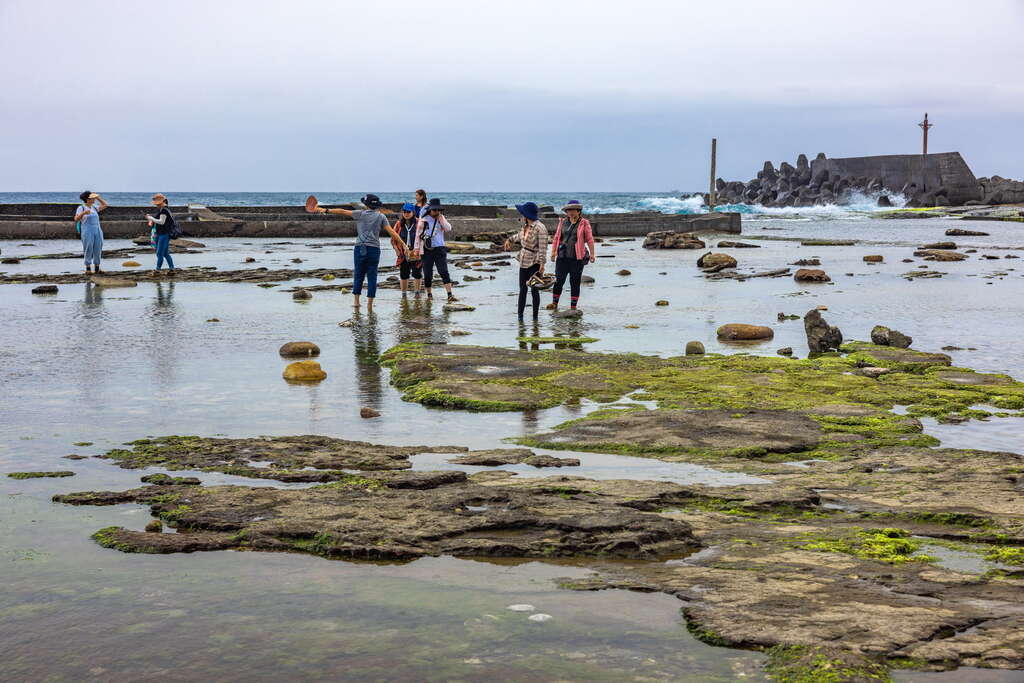 在潮間帶撿拾海產