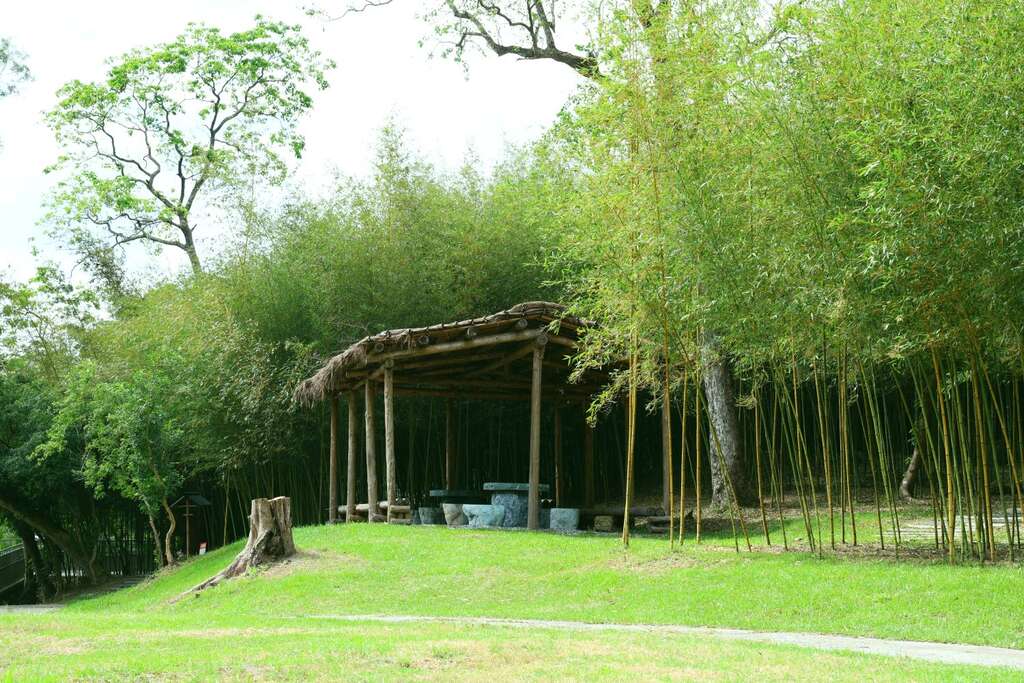 花蓮富里羅山休閒農業區的竹林為縱谷中的療育景點