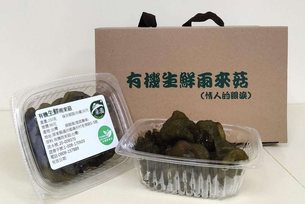 有機栽種的雨來菇（楚諾雨來菇農場提供）
