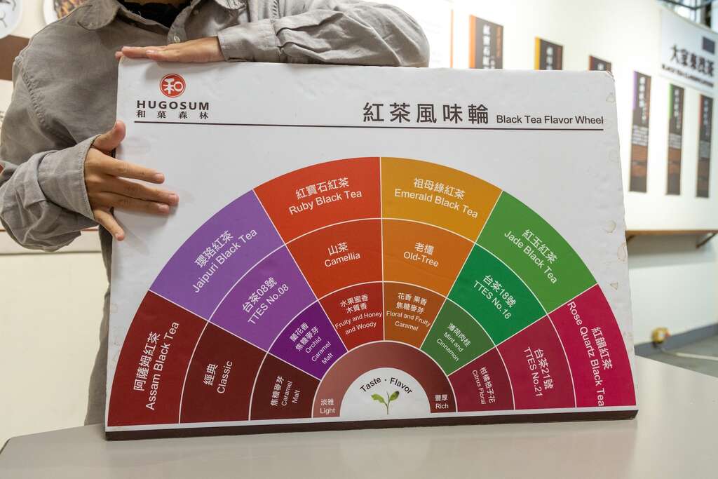 阿薩姆紅茶是適合作為奶茶基底的茶種之一