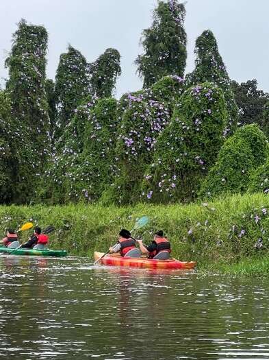 02獨木舟生態之旅:划過活盆地運河,感受羊角村的異國風情。_圖片取自頭社羊角村