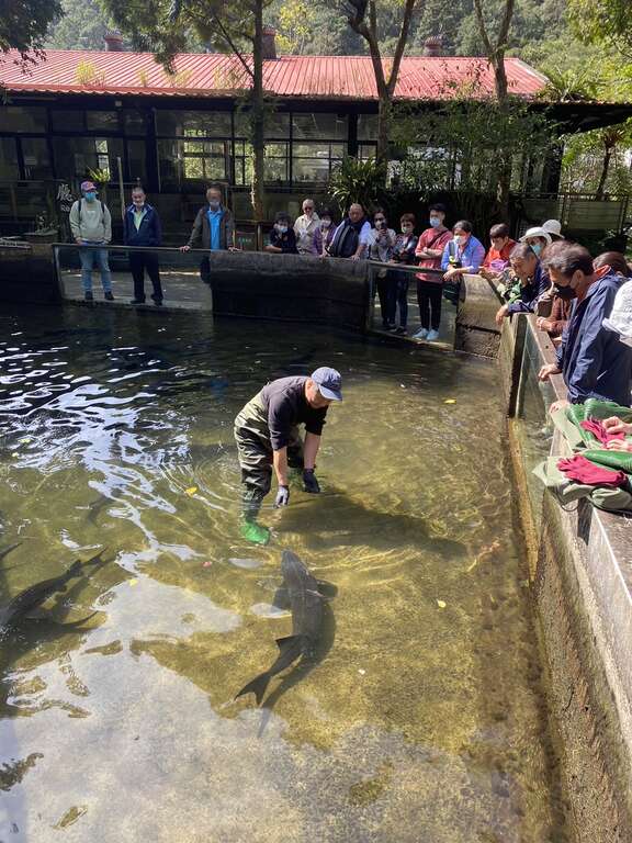 04專業導覽帶你走入鱘龍魚的世界，體驗漁業文化~__圖片取自千戶傳奇生態農場