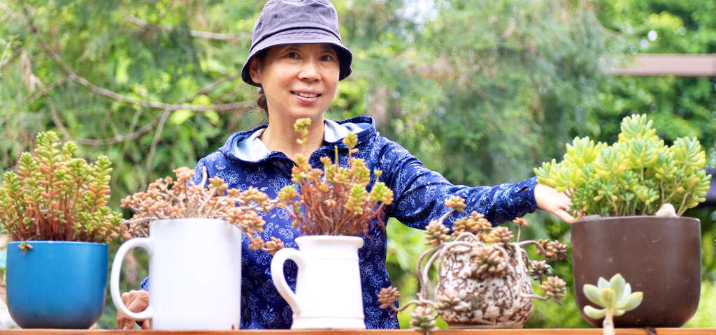 04木渠多肉農場_農遊超市