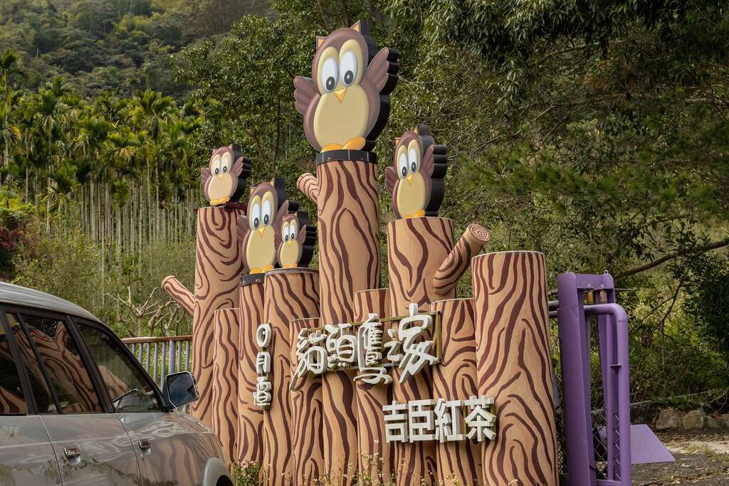 吉臣製茶廠（日月潭貓頭鷹之家）