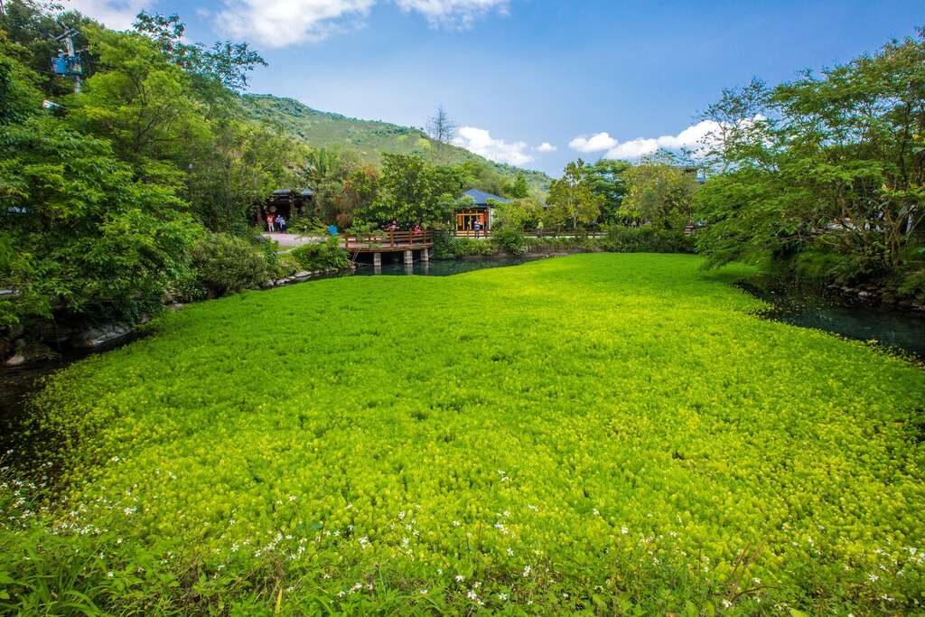 馬太鞍休閒農業區生態環境豐富(圖片來源:千享國際)