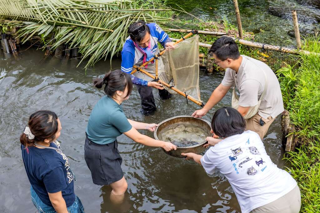 巴拉告傳統捕魚法(圖片來源:千享國際)