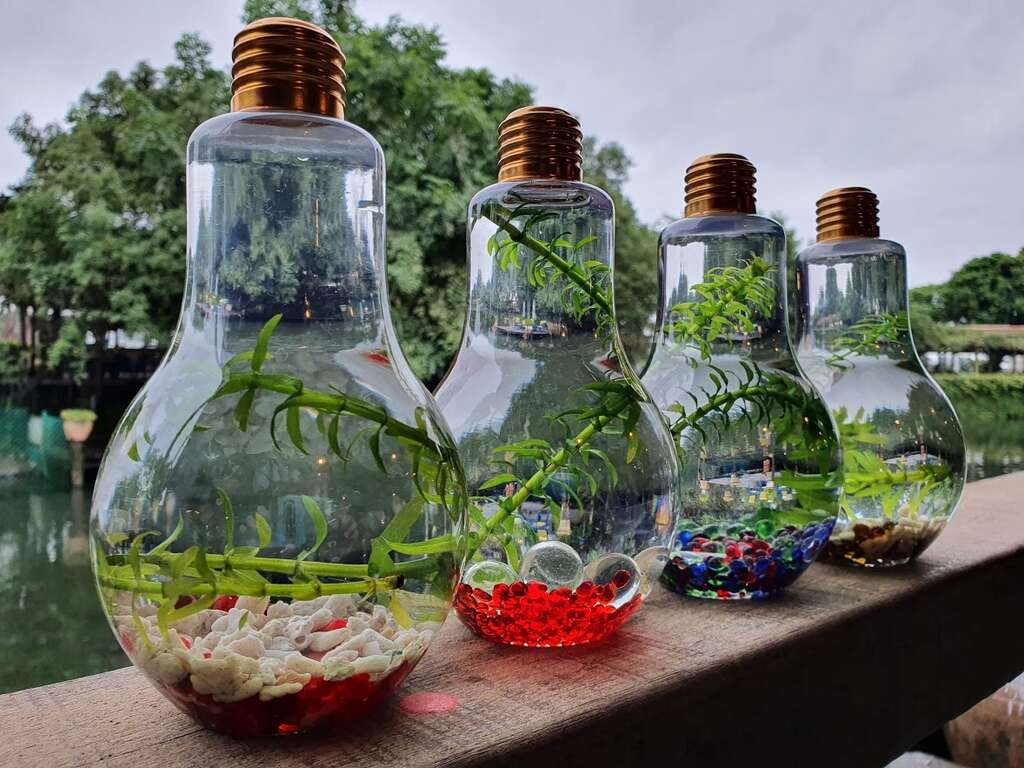 04黑殼蝦生態瓶，能讓孩子觀察黑殼蝦悠游在微型水族世界中。