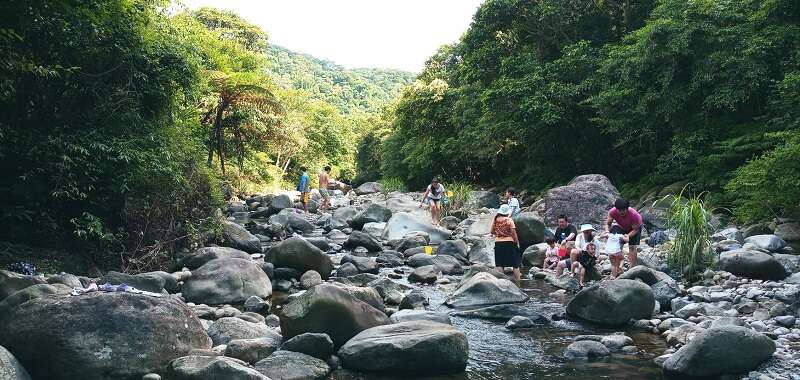 02阿里磅生態農場池塘型的濕地特色，清澈的水質為各種動植物提供理想棲息地。