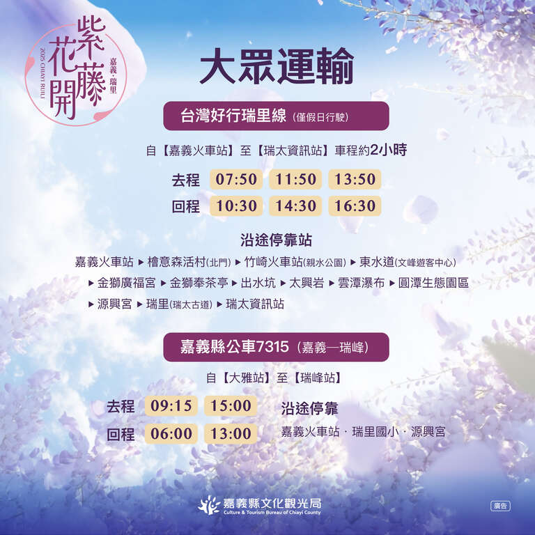 2025嘉義瑞里紫藤花-大眾交通資訊_圖片取自慢遊嘉義