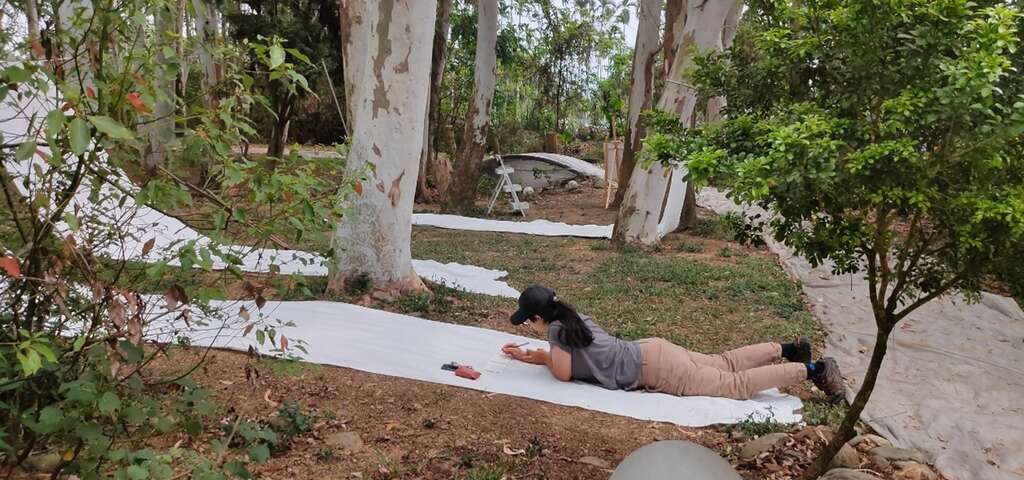 02藝術與心靈療癒課程_圖片取自農遊超市