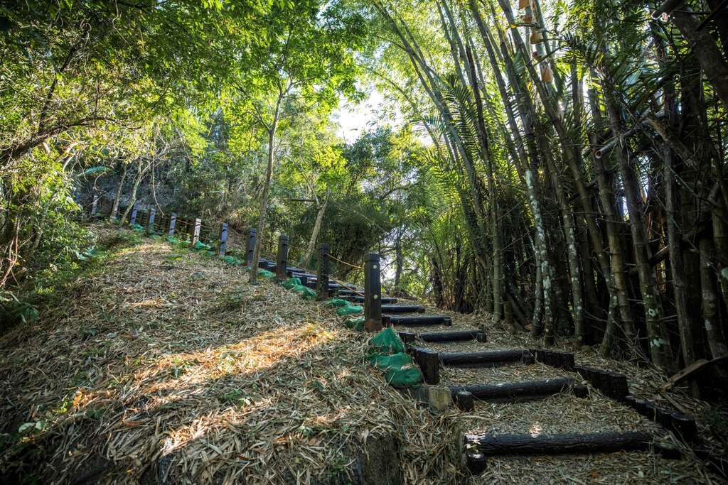 太平蝙蝠洞步道(圖片來源：千享國際)