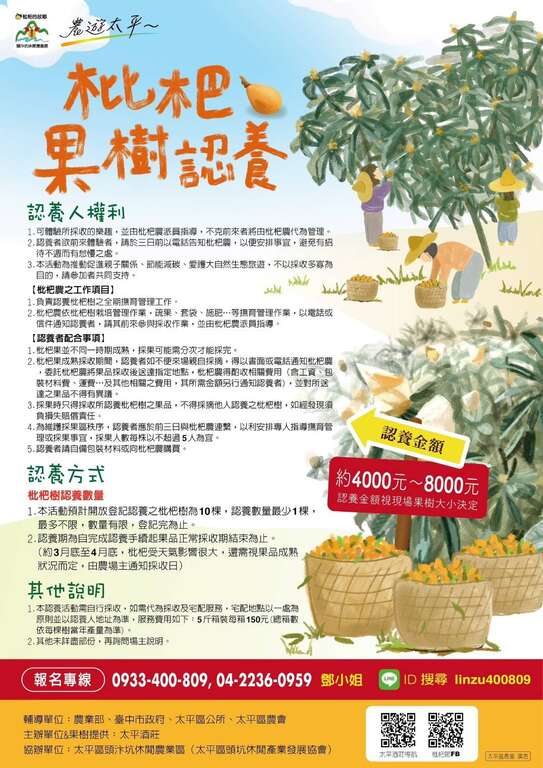 枇杷果樹認養_圖片取自太平枇杷節