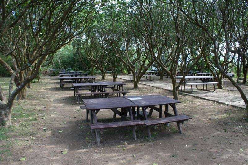 01走進鄉村休閒農場，體驗田園樂趣與親子時光。