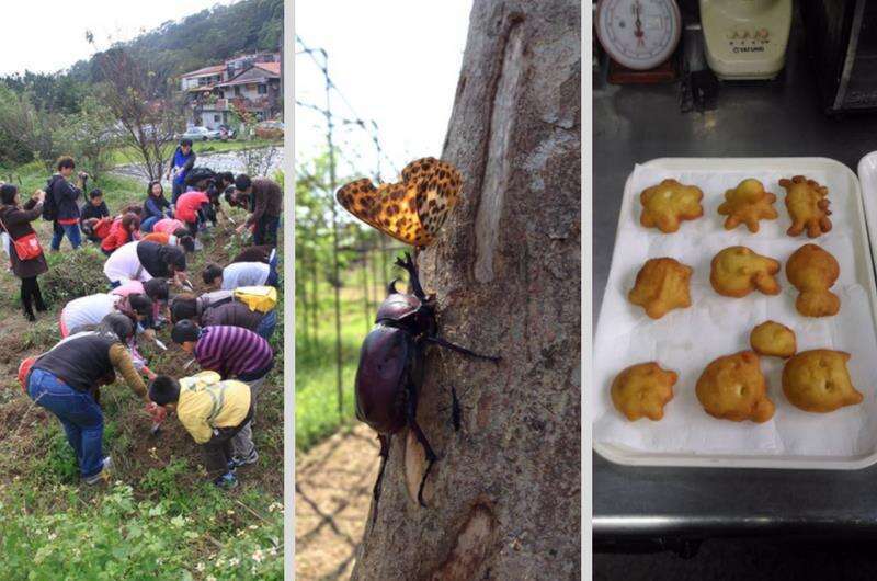 02參與鄉村休閒農場的各式農事體驗，親手摘取當季蔬果，感受大自然的奧妙。