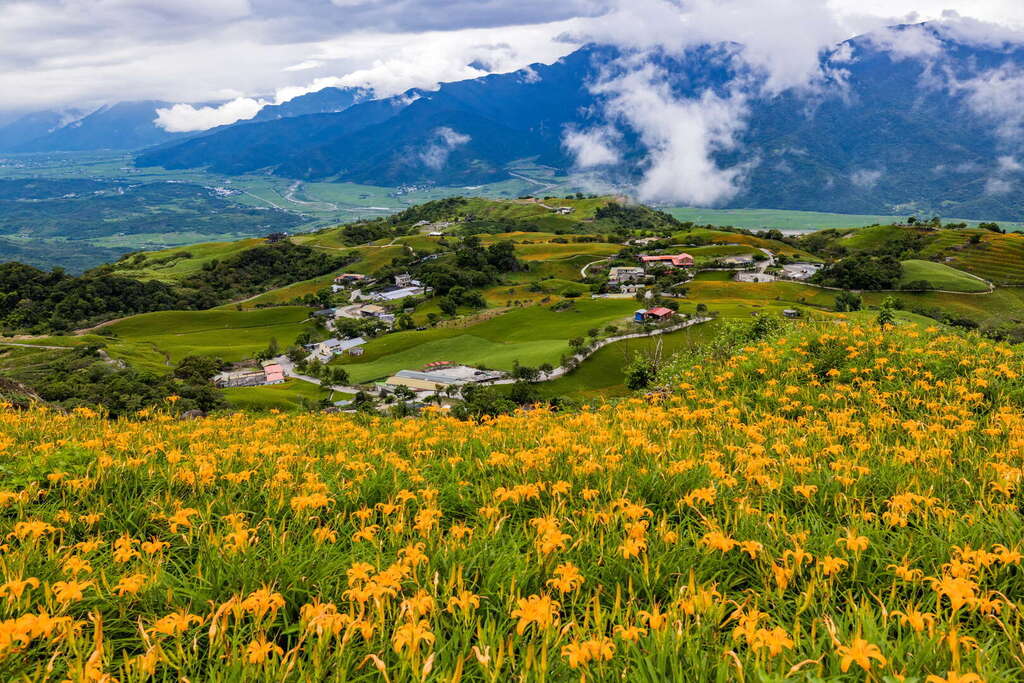 08六十石山金針花季