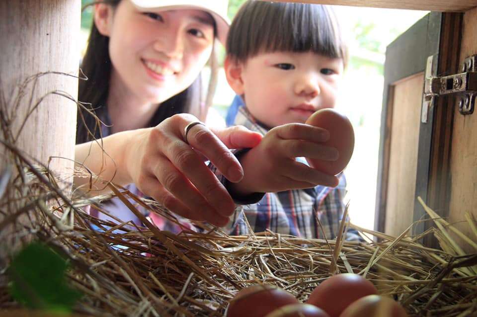 體驗「好萌寶貝撿蛋趣」。