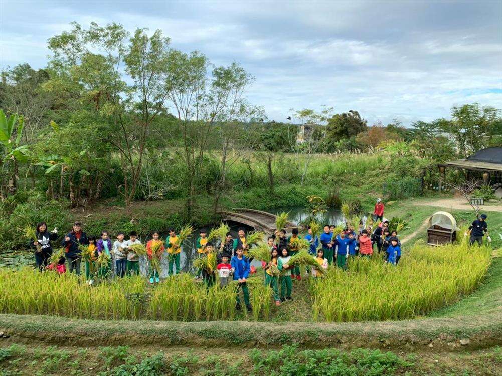 來到好時節絕不能錯過在田中體驗農忙的樂趣。