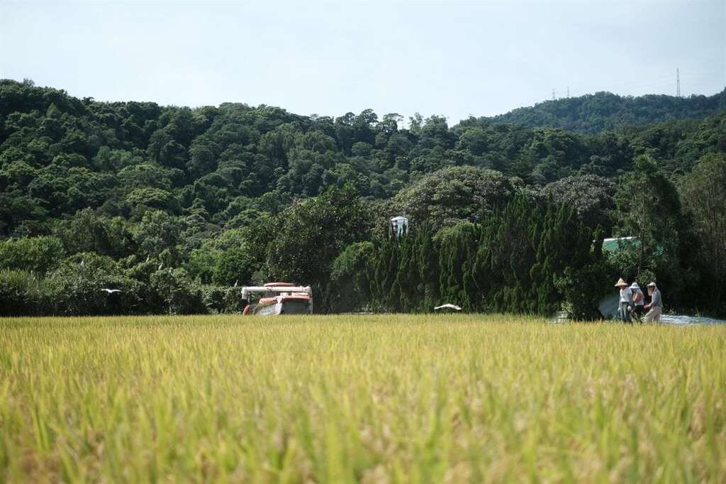 康莊休閒農業區的田園風光。
