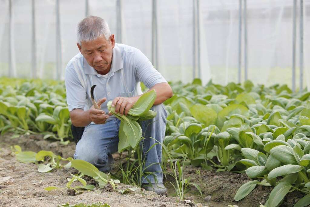 在康莊休閒農業區裡,有一個田園百寶箱。