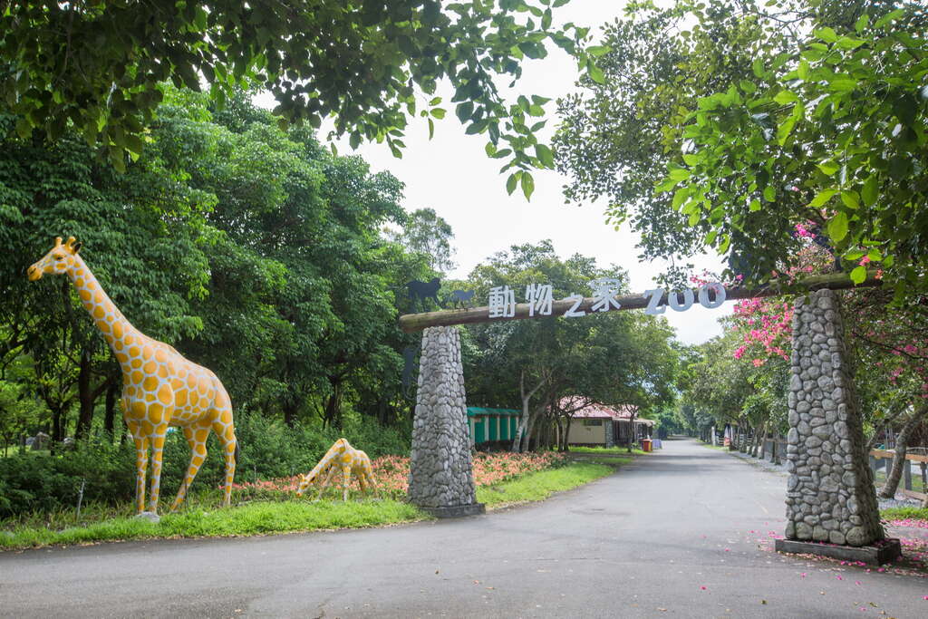 可愛動物區(圖片來源：千享國際)