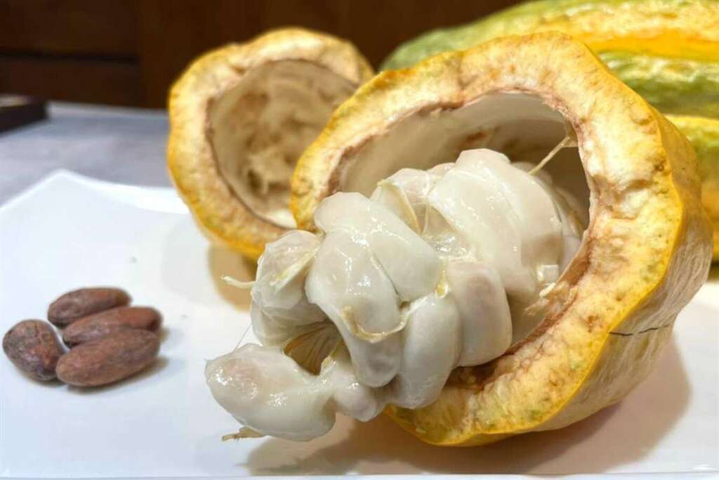 木瓜外型的硬殼，果肉卻是白色的