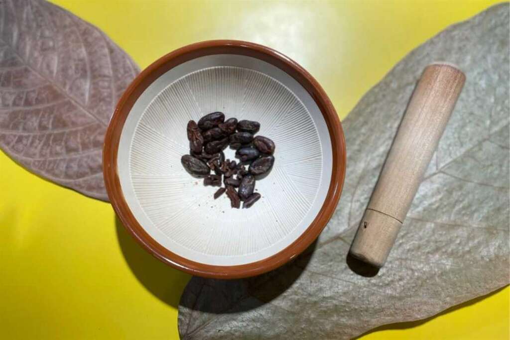 巧克力冰淇淋DIY