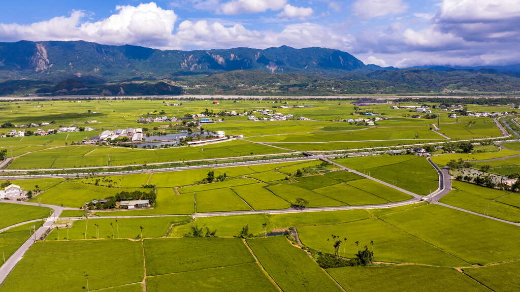 03台東田野全景，綠意盎然，生機勃勃的農村風光。_公司素材