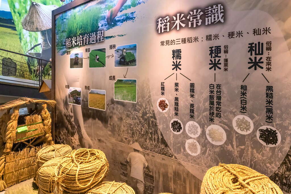 06歡迎來關山米國學校認識稻米故事。_公司素材